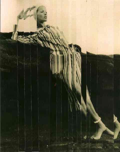 Claire Pestaille, Verushka Vertical Strip (1) Hawaii 1965, 2010