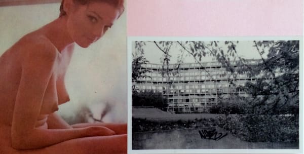 Sarah Hardacre She is the song of a butterfly, 2020 Paper collage 13.3 x 25.9 cm Framed 15.5 x 28.5 cm Signed, titled and dated