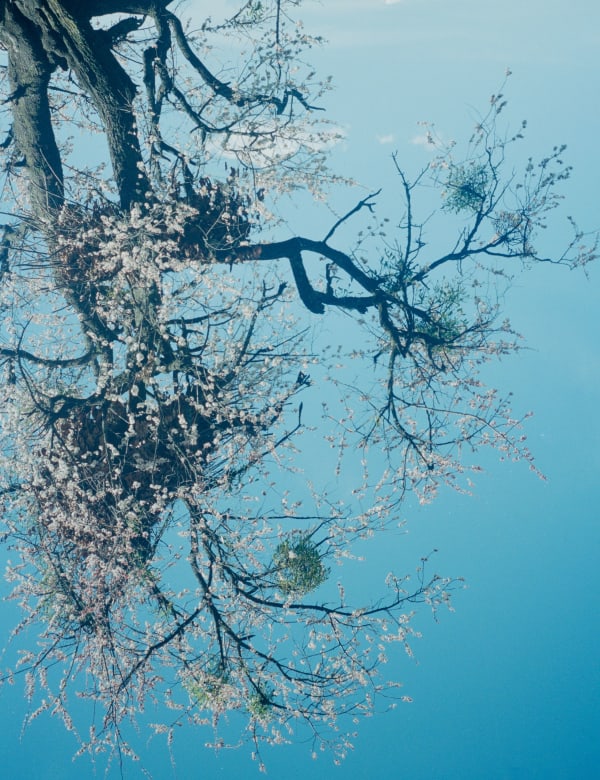 Susannah Baker-Smith, 'Another Living Soul' 71, 2020