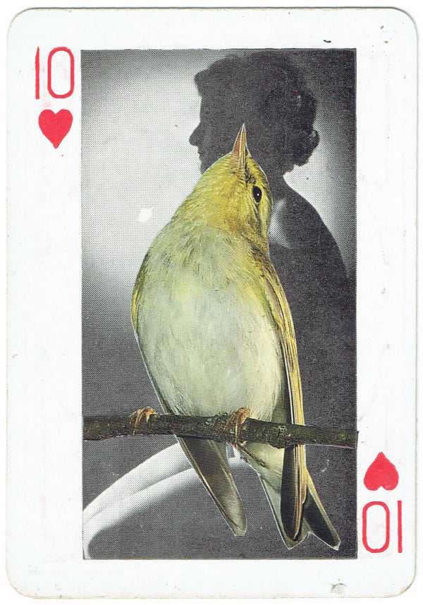 Sarah Hardacre, Ten of Hearts Wood Warbler, 2016