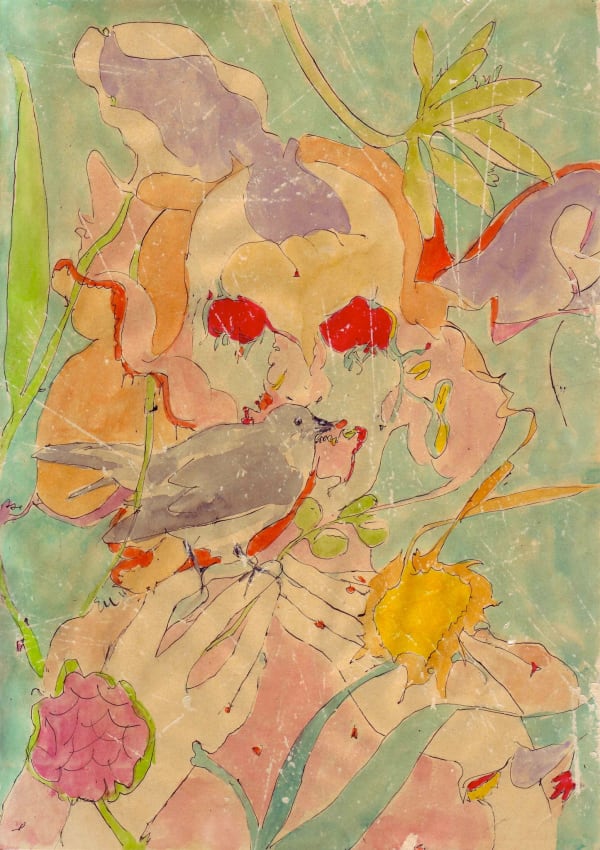 Mit Senoj, Miss Muscicapidae 01, 2013