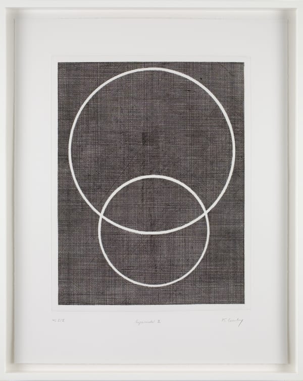 Keith Coventry, Supermodel II (Naomi Campbell), 2008