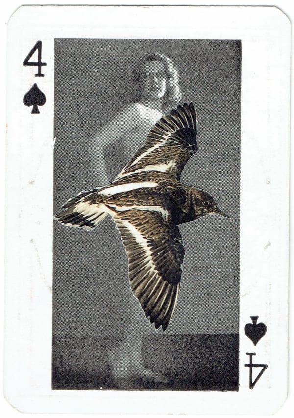 Sarah Hardacre, Four of Spades Turnstone, 2016