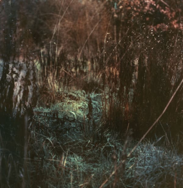Susannah Baker-Smith, 'Another Living Soul' 87, 2020