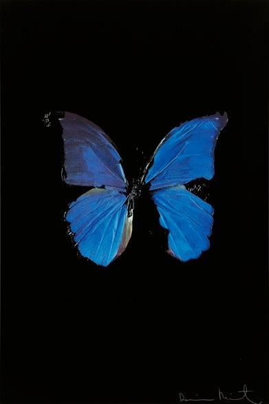 Damien Hirst, The Soul on Jacob’s Ladder, 2005