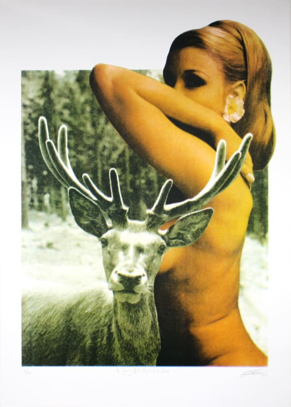 Sarah Hardacre, A Stag With Antlers In Velvet, 2019