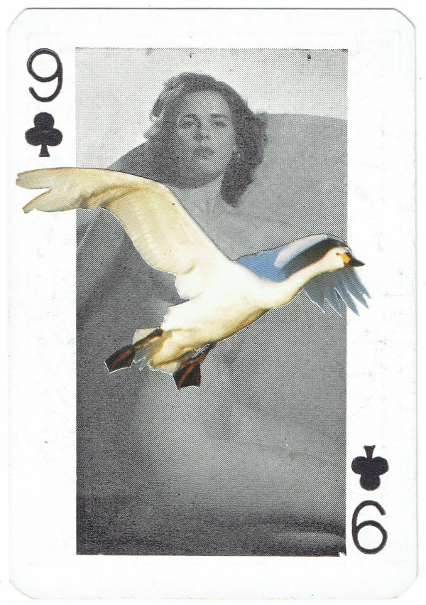 Sarah Hardacre, Nine of Clubs Benwick's Swan, 2016