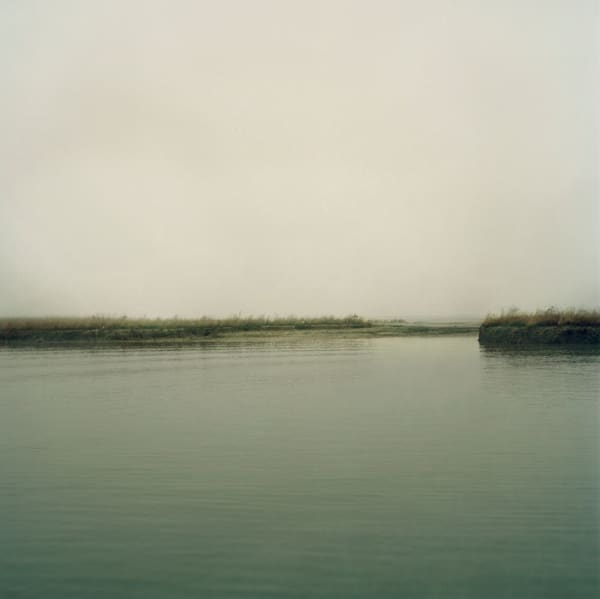 Susannah Baker-Smith, 'Another Living Soul' 56, 2020