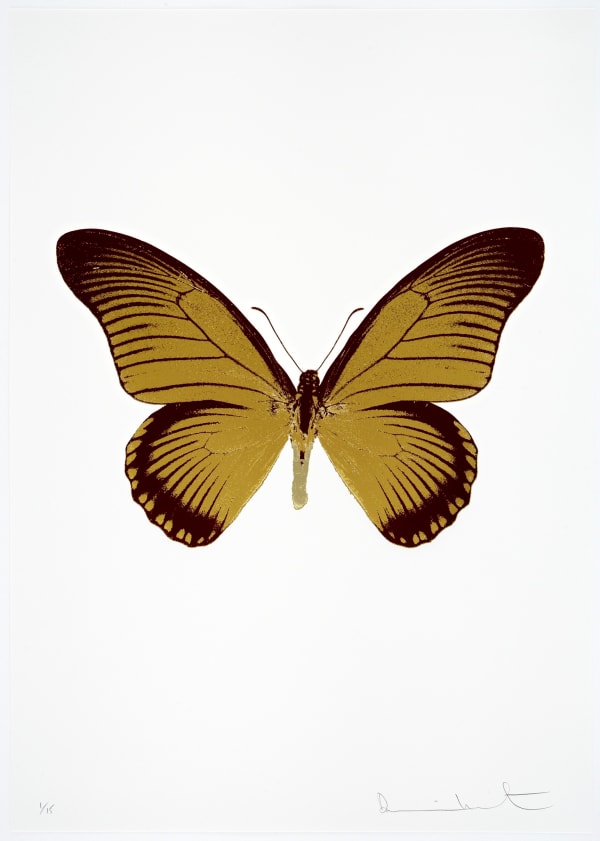 Damien Hirst The Souls IV - Oriental Gold/Burgundy/Cool Gold Damien Hirst butterfly foil print for sale Damien Hirst print for sale , 2010 3 colour foil block on 300gsm Arches 88 archival paper. Signed and numbered. Published by Paul Stolper and Other Criteria 72 x 51cm OC8036 / 1418-59 Edition of 15
