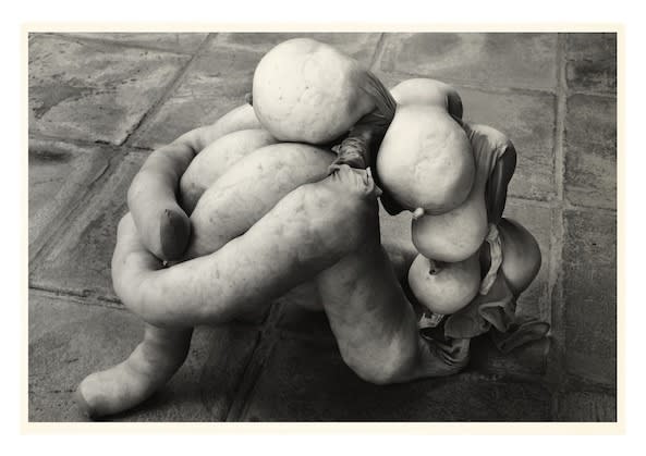Julian Simmons, REALIDAD 1, 2014