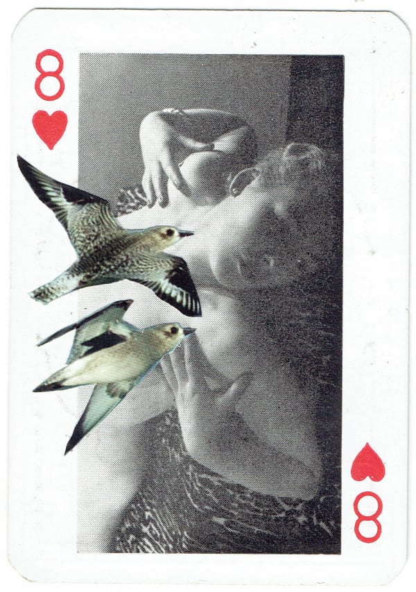 Sarah Hardacre, Eight of Hearts Grey Plover, 2016