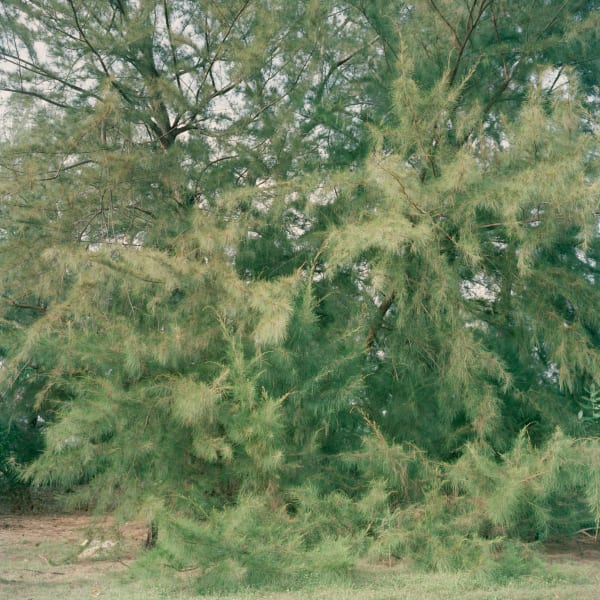Susannah Baker-Smith, 'Another Living Soul' 69, 2020