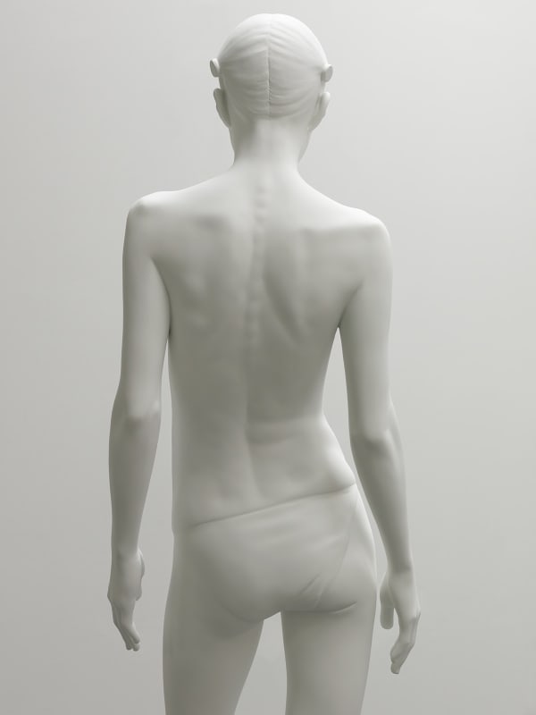 Don Brown, Yoko VII, 2012