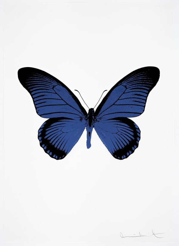 Damien Hirst, The Souls IV - Frost Blue/Raven Black, 2010