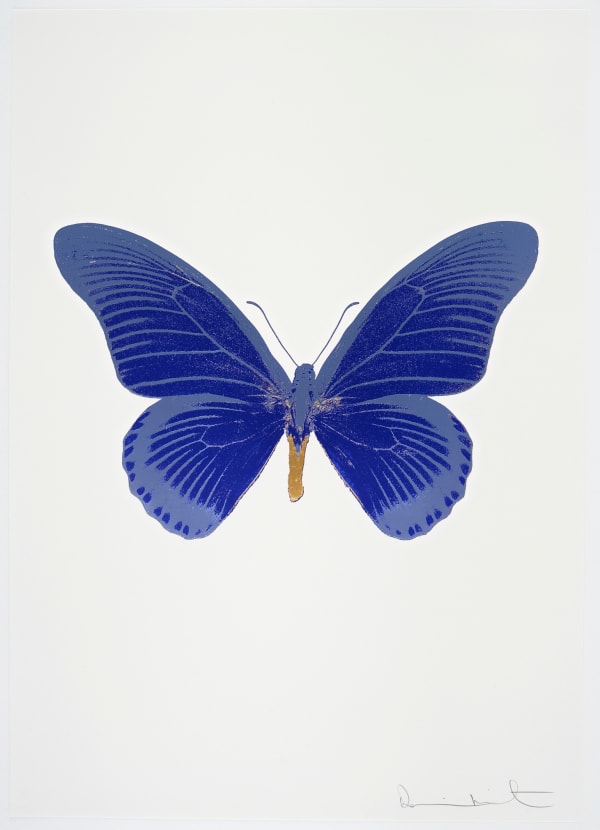Damien Hirst The Souls IV - Westminster Blue/Cornflower Blue/African Gold Damien Hirst butterfly foil print for sale Damien Hirst print for sale , 2010 3 colour foil block on 300gsm Arches 88 archival paper. Signed and numbered. Published by Paul Stolper and Other Criteria 72 x 51cm OC8025 / 1418-48 Edition of 15