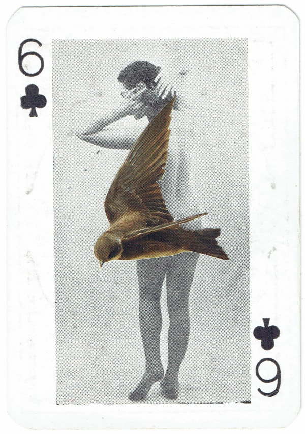 Sarah Hardacre, Six of Clubs Sand Martin, 2016