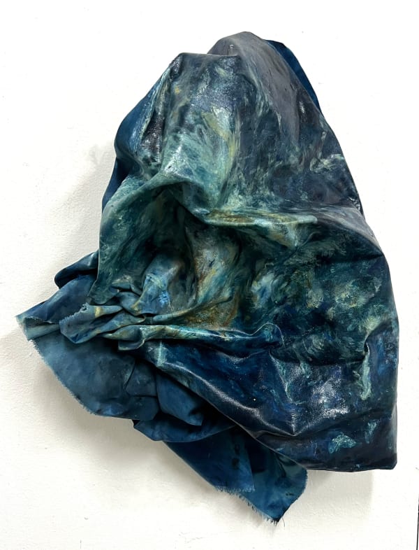 Fatima Tayob Moosa, Withdrawn, 2022