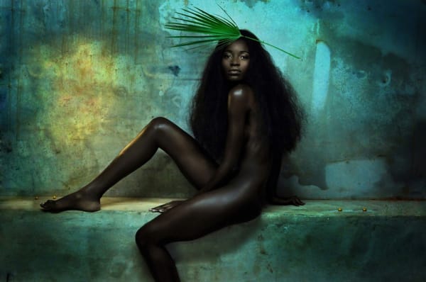 Krisjan Rossouw, Dark Paradise 1, 2013