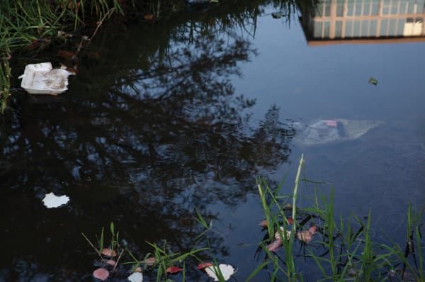 Paul Weinberg, Tashlikh, the emptying-your-pocket or casting-off-your- sins ritual performed by orthodox Jews during Rosh Hashannah (New Year), takes place annually, Mushroom Park, Johannesburg, Gauteng, 2019-21