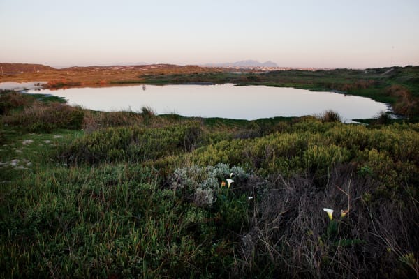 Paul Weinberg, Camissa, a Khoi name meaning sweet waters, has spiritual connotations. The city of Cape Town has a unique underground system of rivers and aquifers throughout the city, near Khayelitsha, Cape Town, Western Cape, 2019-21