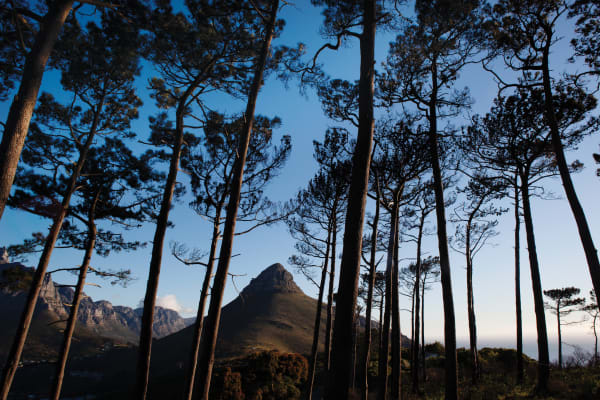 Paul Weinberg, There are about 3 million foreign Africans living in South Africa who practise a multiplicity of faiths wherever they find sanctuary, Nigerian Church site, Signal Hill, Cape Town, Western Cape, 2019-21