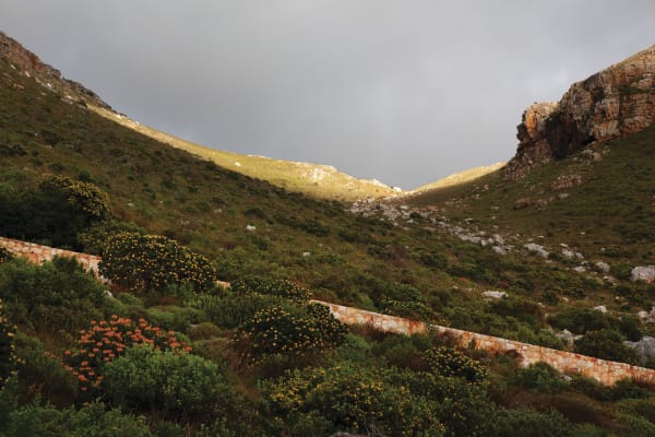 Paul Weinberg, A non-stop church meets every day on the mountain behind Muizenberg for worshippers, mainly from Burundi, but is also a haven for many other foreign Africans. Many believers travel from townships on the Cape Flats to attend ceremonies, Peck’s Peak, Muizen, 2019-21
