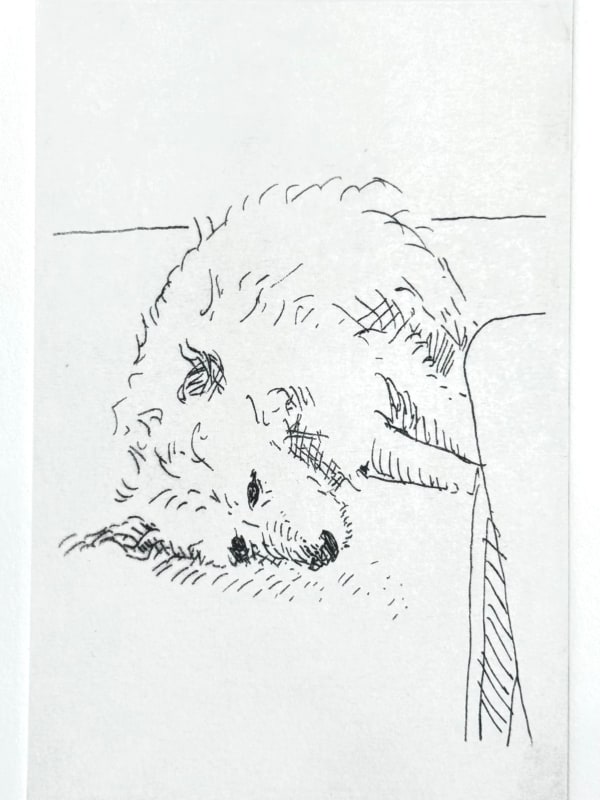 Peter Chater, Alfie, 2025