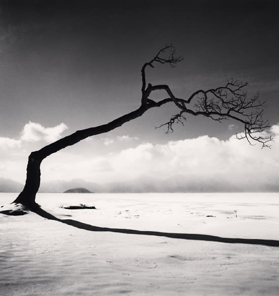 Michael Kenna, Kussharo Lake tree, Study 10, Kotan, Hokkaido, 2005 (Printed 2016)