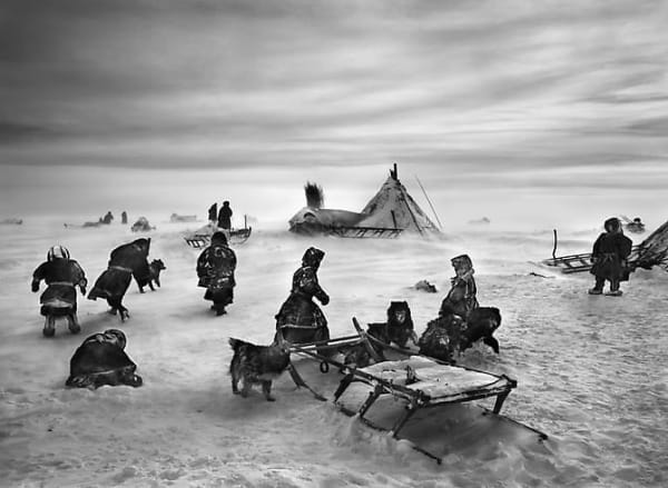 Sebastião Salgado, Nenets nomads camp, Siberia, Russia, 2011