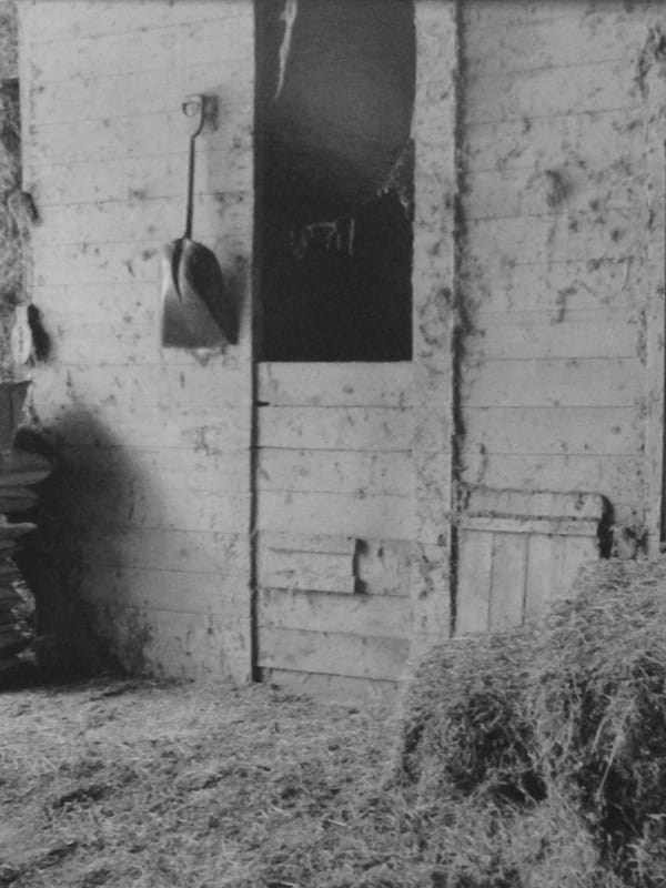 David Plowden, Near Brodhead, Green County, Wisconsin, 2000