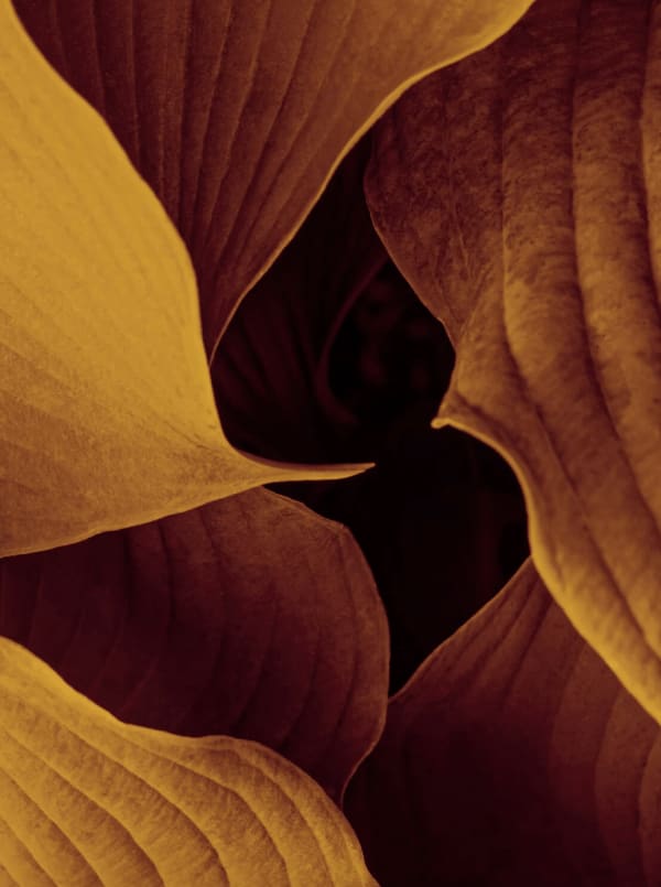 Paul Cupido, Vagues I, 2023