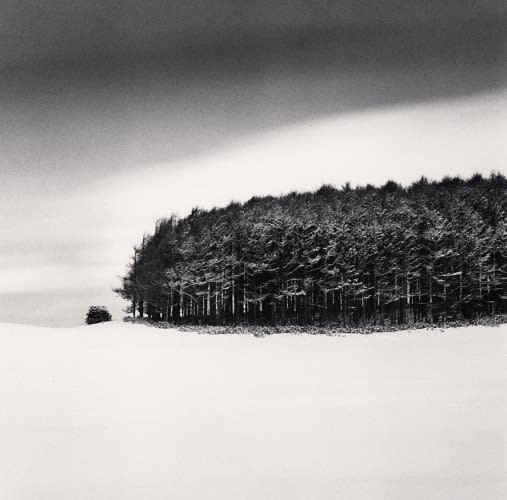 Michael Kenna, White Copse, Study 4, Wakkanai, Hokkaido, Japan., 2020