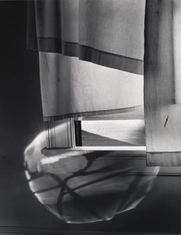 Minor White, Windowsill Daydreaming, Rochester, New York, 1958