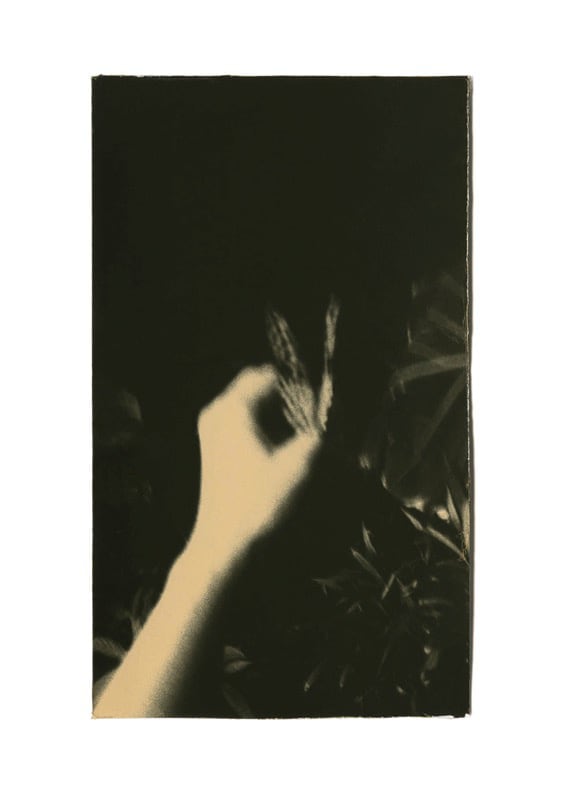 Miho Kajioka, BK0064, 2014