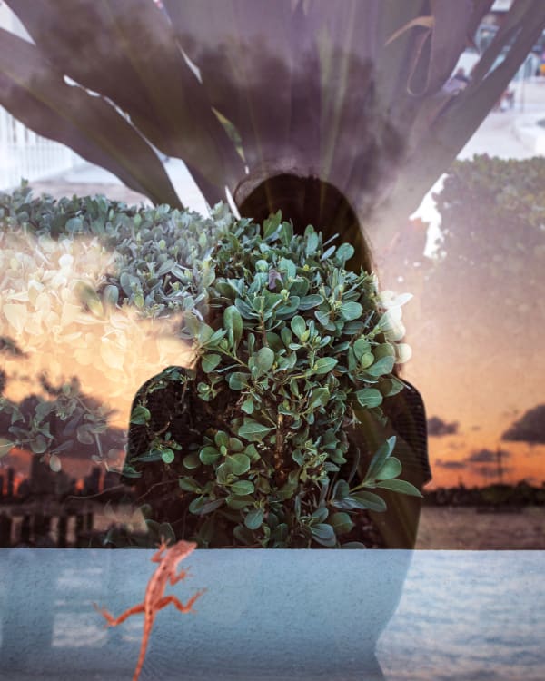 Anastasia Samoylova, Biscayne Bay, 2018