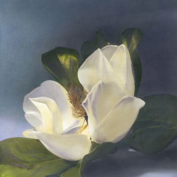 Brigitte Carnochan, Magnolia VII, 1998