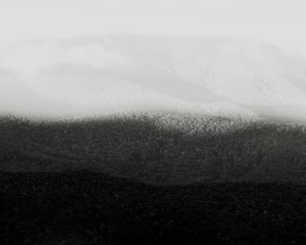 Jeffrey Conley, Morning Chiaroscuro, North Carolina, 2023, Printed 2024