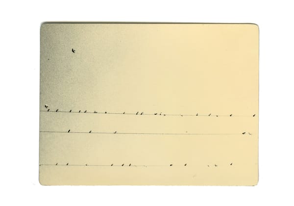 Miho Kajioka, BK0262, 2016