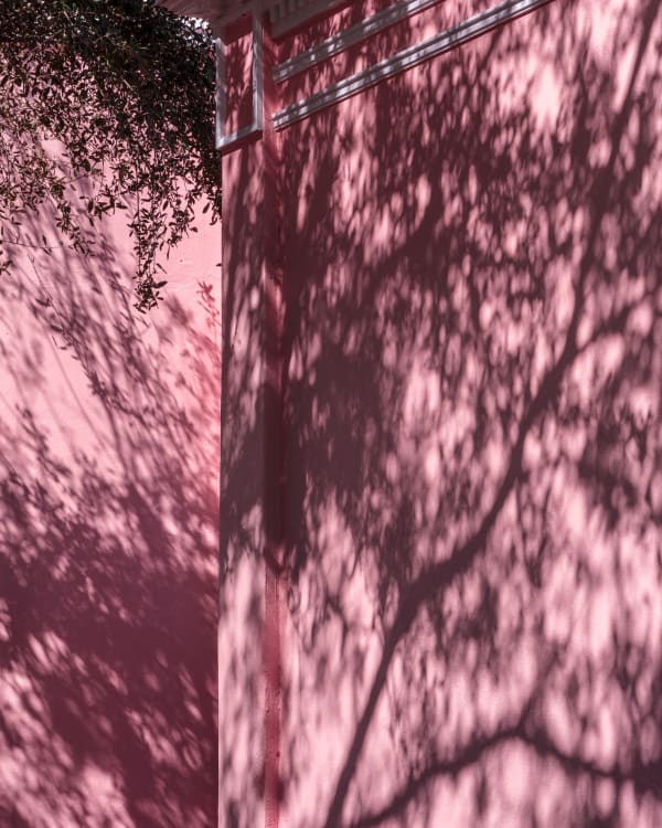 Anastasia Samoylova, Pink Walls, Sarasota, 2020