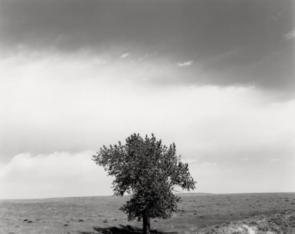 Robert Adams, ”Pawnee National Grassland, Colorado, 1984”, Printed 1992