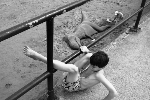 Roger A. Deakins, The Dinosaur, Paignton, 2011