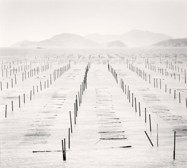Michael Kenna, Seaweed Beds, Jeung-do, Shinan, 2012 (Printed 2012)