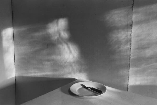 Lilo Raymond, Plate and Fork, 1991