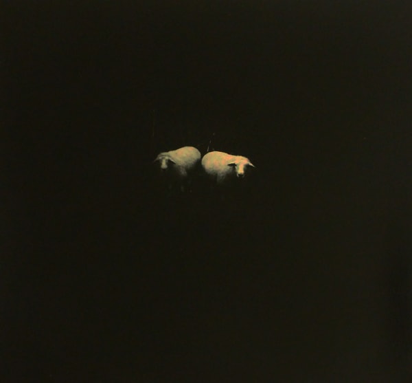 Miho Kajioka, BK0144, 2015