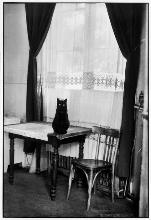 Henri Cartier-Bresson, Paris (Cat), 1953