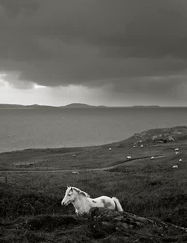 Kristoffer Albrecht, White Horse, Eroskay, Scotland, 2008