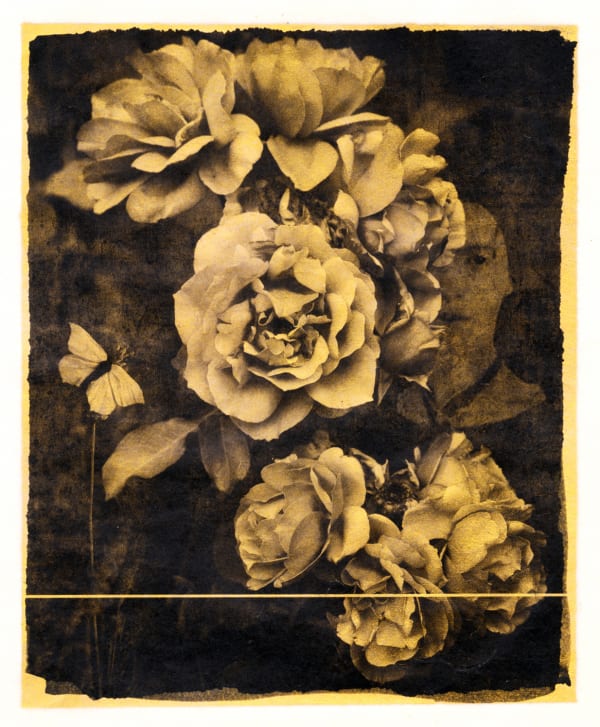 Brigitte Carnochan, Nobody Knows this Little Rose, 2018