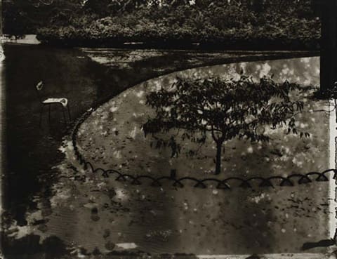 Sarah Moon, Le Jardin du Luxembourg, 1985