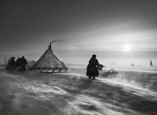 Sebastião Salgado, Nenet Nomads (Packing Sleigh) South Yamal Region, Siberia, Russia, 2011