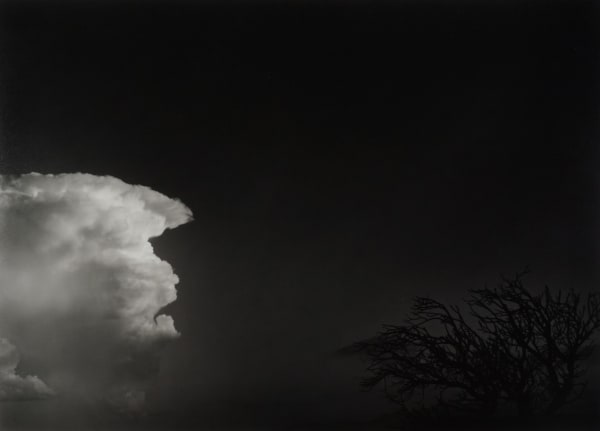 Paul Caponigro, Tree & Cloud, New Mexico, 1980
